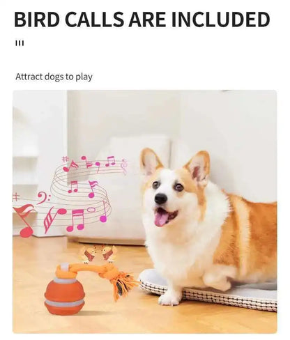 Dog playing with a toy near a music note graphic, with text indicating bird calls are included.