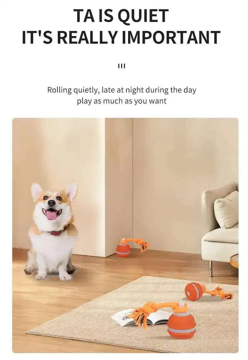 Dog in a living room with toys and text about playtime.