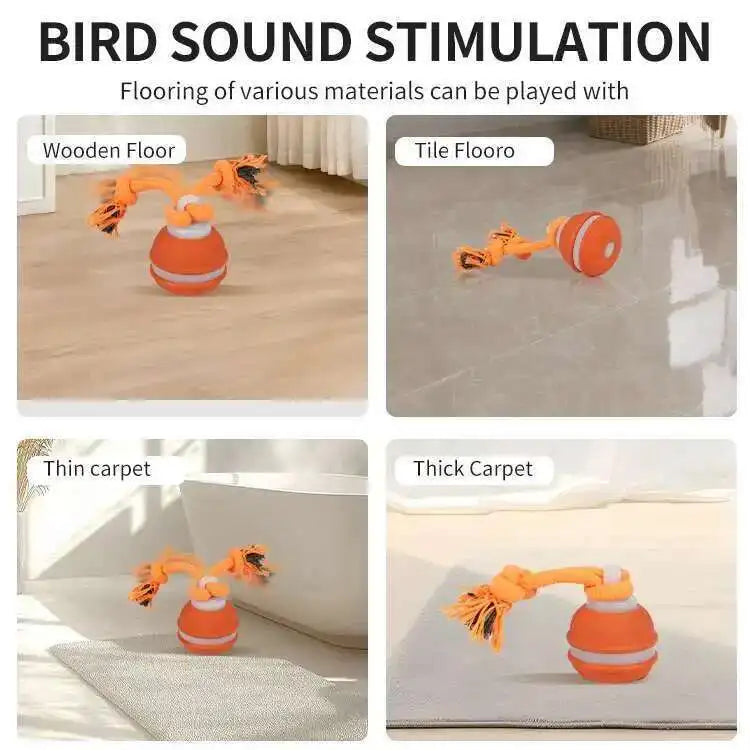 Bird sound stimulation toy tested on different flooring types.