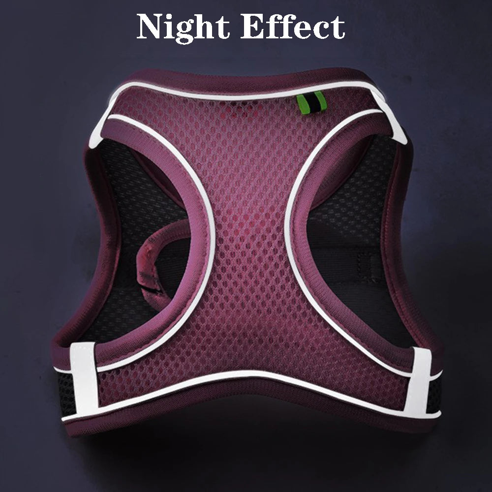 Purple dog harness with reflective white trim on a dark background, labeled 'Night Effect'.