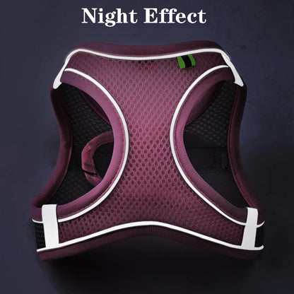 Purple dog harness with reflective white trim on a dark background, labeled 'Night Effect'.