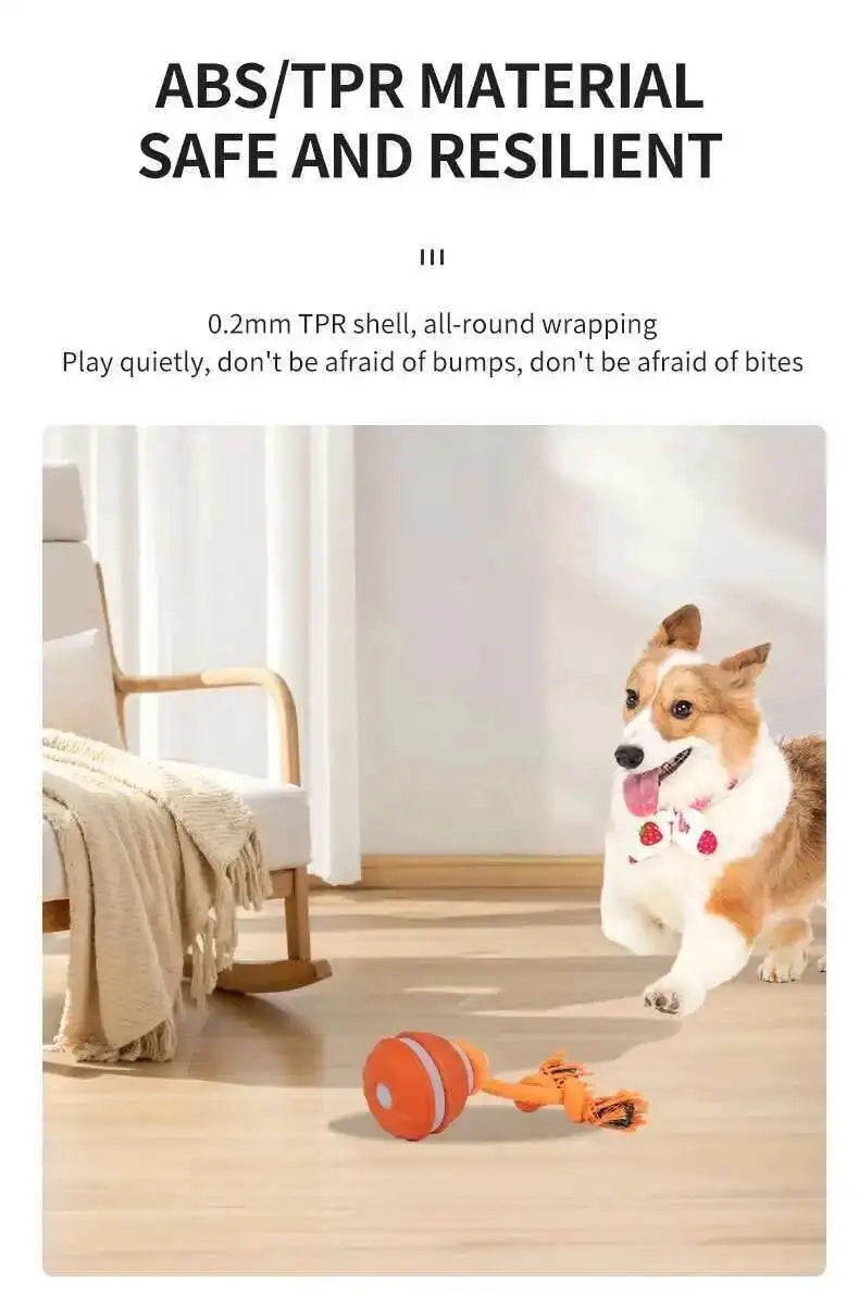 Dog playing with a toy on a wooden floor, with text about ABS/TPR material safety.