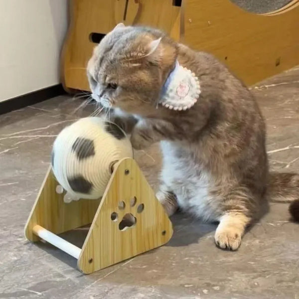 Cat playing with a ball on a wooden stand