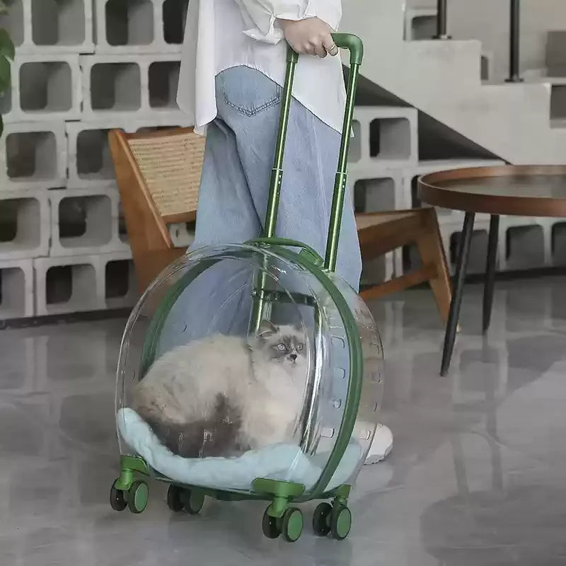 Person pulling a transparent pet carrier with a cat inside on a tiled floor.