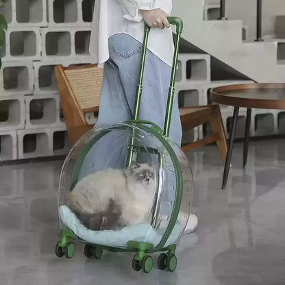 Person pulling a transparent pet carrier with a cat inside on a tiled floor.