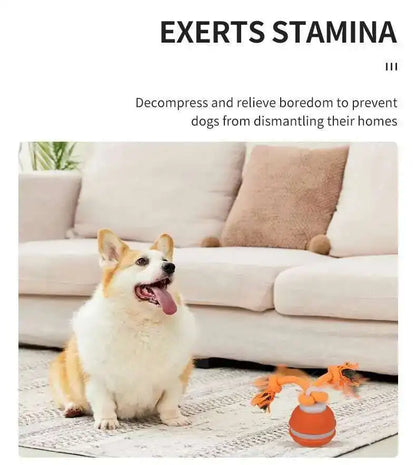 Dog sitting on a rug with a toy in front of a couch, text about dog behavior and product use.