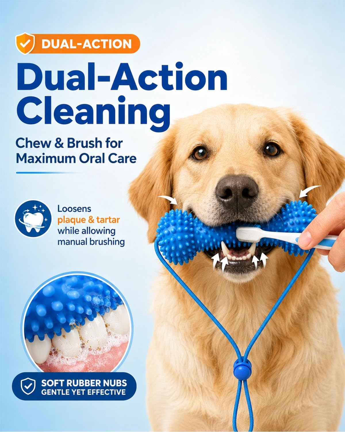 A golden retriever dog is shown holding a blue dual-action oral care chew in its mouth while a human hand holds a blue manual brush against its teeth. The image includes marketing text reading 'Dual-Action Cleaning' and 'Chew & Brush for Maximum Oral Care,' plus a circular inset showing close-up of the rubber nubs and plaque/tartar loosening.