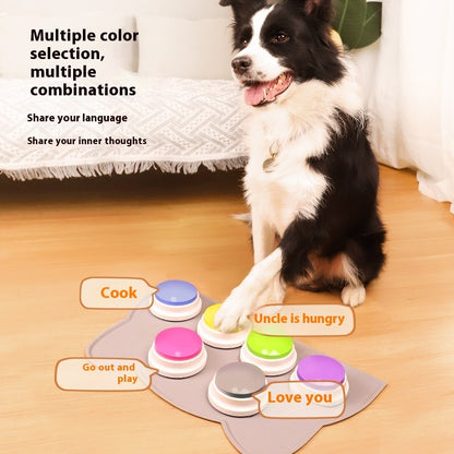 Dog interacting with a set of colorful buttons on a wooden floor.