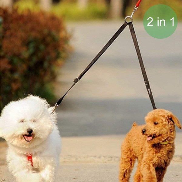 Two dogs on a 2-in-1 leash with a blurred outdoor background