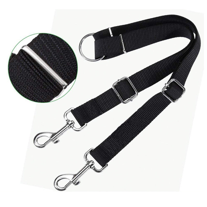 Black dog leash with metal clips on a white background
