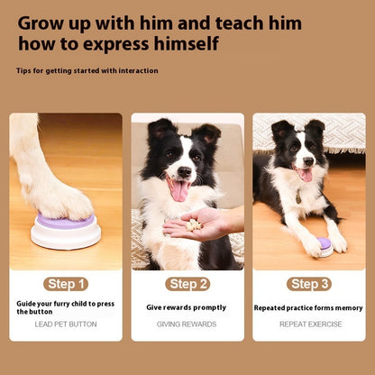 Steps for interacting with a dog on a brown background